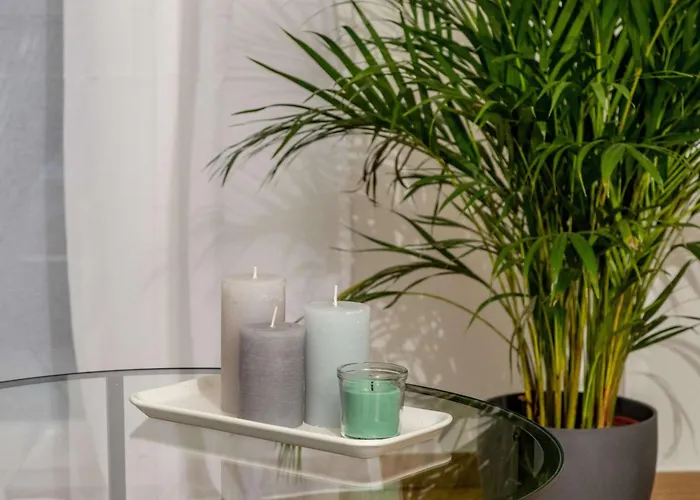 Apartment Zeus Executive *